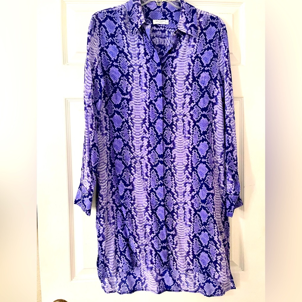 Equipment Silk Shirt Dress